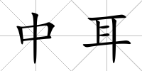 中耳