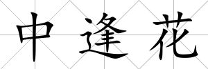 中逢花