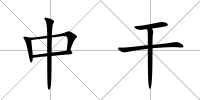 中干