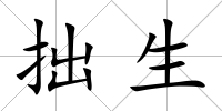 拙生