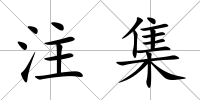 注集