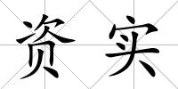 資實
