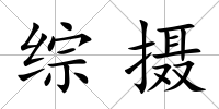 綜攝