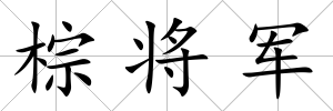 棕將軍