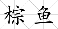 棕魚