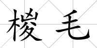 椶毛