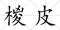 椶皮