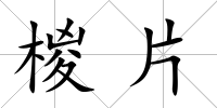 椶片