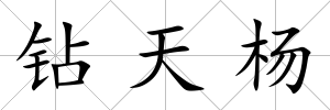 鉆天楊