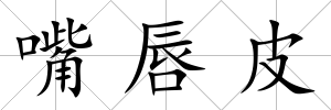 嘴唇皮