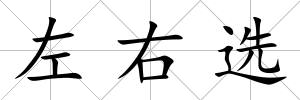 左右選