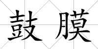鼓膜