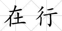 在行