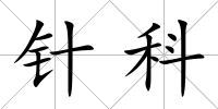 針科
