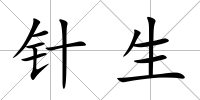 針生