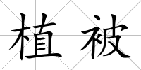 植被
