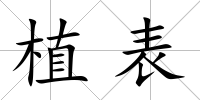 植表