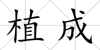 植成