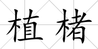 植楮