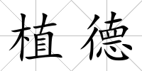 植德