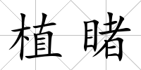 植睹