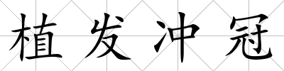 植發沖冠