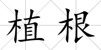 植根