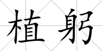 植躬