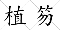 植笏