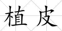 植皮