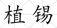 植錫