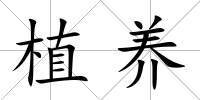 植養(yǎng)