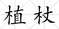 植杖