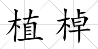 植棹