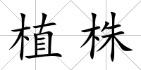 植株