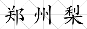 鄭州梨