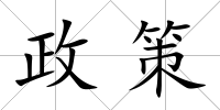 政策