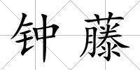 鐘藤