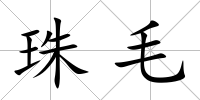 珠毛