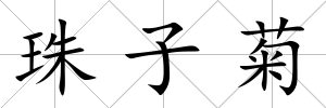 珠子菊