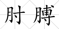 肘膊