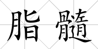 脂髓