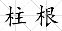 柱根
