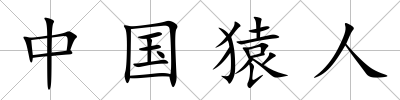 中國(guó)猿人