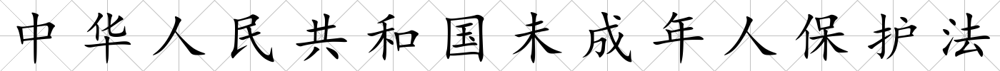 中華人民共和國未成年人保護法