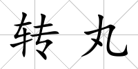 轉丸