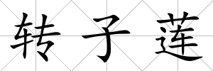 轉子蓮