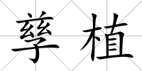 孳植
