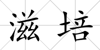 滋培