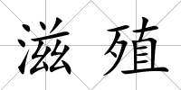 滋殖